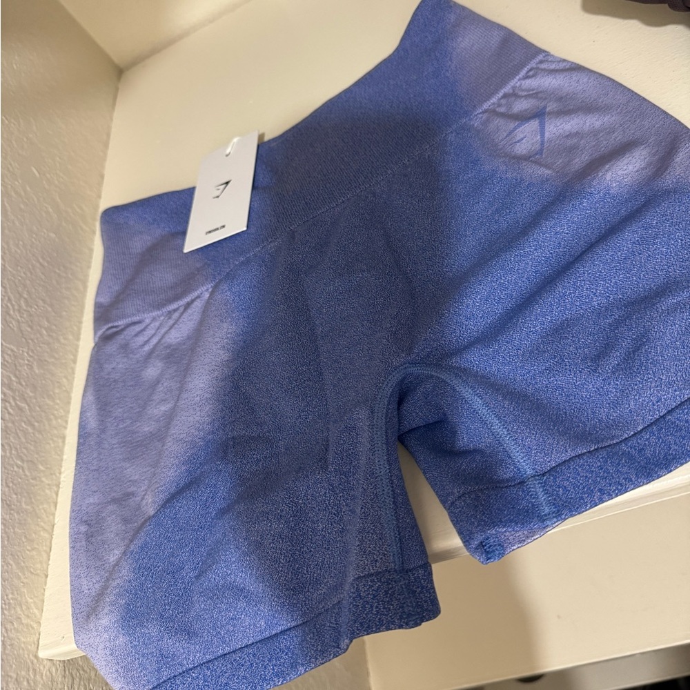 Women's Blue/Lilac Gym Shorts